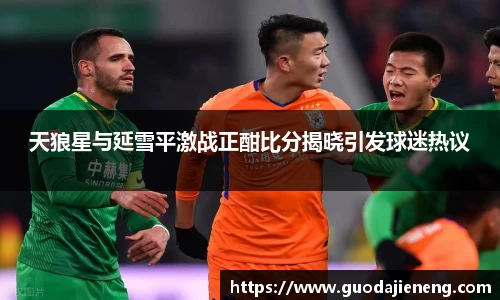 抓饭直播抓饭直播天狼星与延雪平激战正酣比分揭晓引发球迷热议