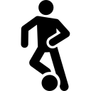 高舸柳